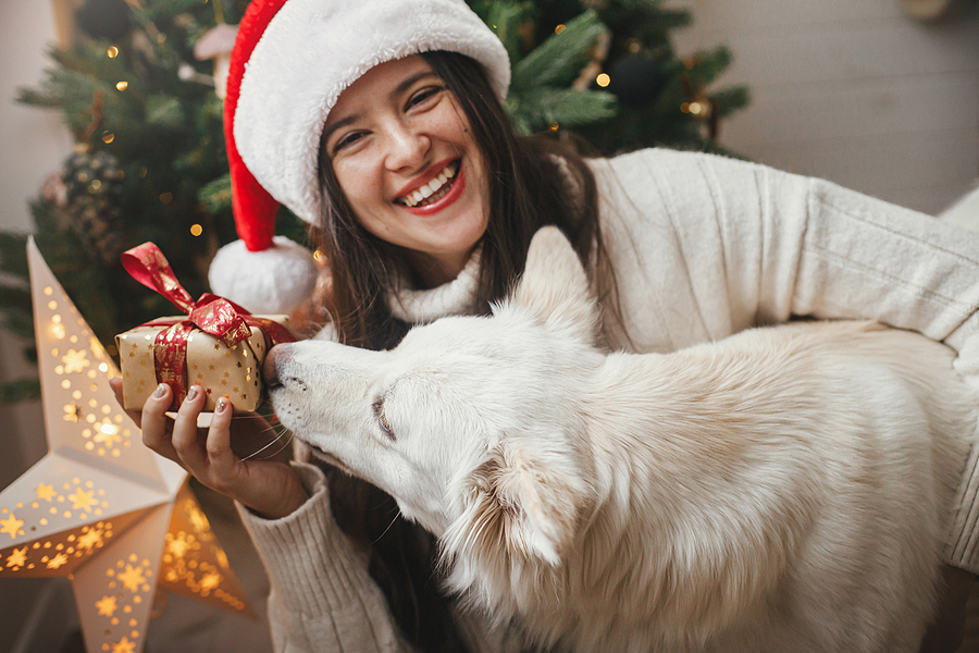 Why is December Perfect Month To See Your Dentist?